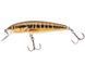 Воблер плаваючий Salmo MINNOW F 07.0/M QMW026 фото 2