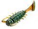 Виброхвосты съедоб. искусст. LJ Pro Series ALIEN BUG 1,5in (03.81)/085 10шт. 140164-085 фото
