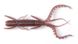 Силікон Lucky John Hogy Shrimp 2.4in / 60мм / 10шт / колір S19 (140163-S19) 140163-S19 фото