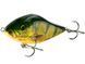 Воблер Slider 7cm Floating Real Hot Perch QSD267 фото 1