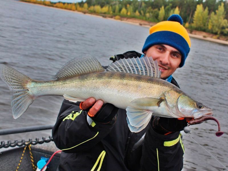Віброхвіст Lucky John Minnow 5,5 Purple Plum 4шт (140151-S13) 140151-S13 фото