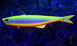 Воблер тонущ. вертикал. Lucky John FISHTAIL VIB S 90 LJFTV090-003 фото 4